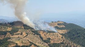 Aydın'da Ziraat Alanında Yangın Çıkışı ve Mücadele Çalışmaları
