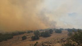 Balıkesir'deki Orman Yangınına Müdahale Devam Ediyor