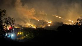Balıkesir'deki Yangın Kontrol Altına Alındı