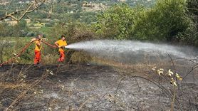 Bartın'da Anız Yangını Kontrol Altına Alındı