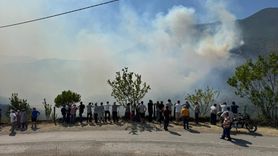 Bartın'daki Orman Yangını Kontrol Altına Alındı