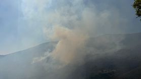 Bartın'daki Orman Yangınına Müdahale Devam Ediyor