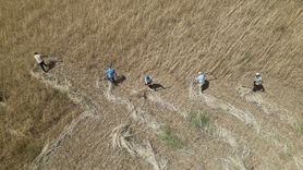 Bayburt'ta Geleneksel Harman Festivali Rüzgarı