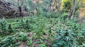 Bingöl'de Uyuşturucu Operasyonu