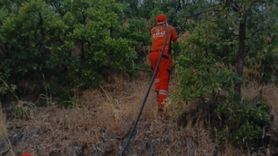 Bingöl'deki Orman Yangını Kontrol Altına Alındı