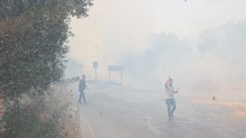 Bodrum'da Zeytinlik ve Otluk Alanda Yangın Kontrol Altına Alındı