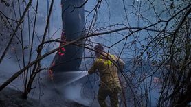 Bolu'da Orman Yangını Kontrol Altına Alındı