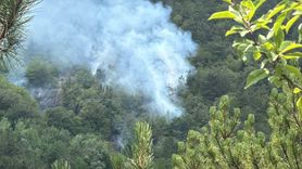 Bolu'da Orman Yangınına Müdahale Devam Ediyor