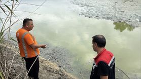 Bolu'daki Gölette Balık Ölümleri Üzerine İnceleme Başlatıldı
