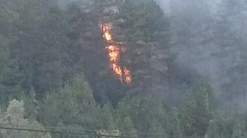 Bolu'daki Orman Yangını Kısmen Kontrol Altına Alındı