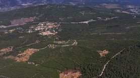 Bornova Ormanlık Alanı Yeniden Hayat Buldu