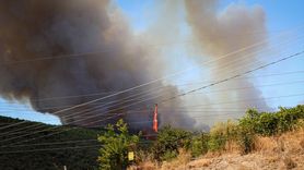 Bursa'da Orman Yangını: Yenişehir-Bursa Yolu Kapandı