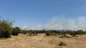 Bursa'daki Orman Yangını Kontrol Altına Alındı