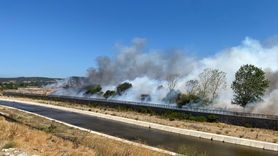 Çanakkale Ayvacık'ta Yangın Kontrol Altına Alınmaya Çalışılıyor