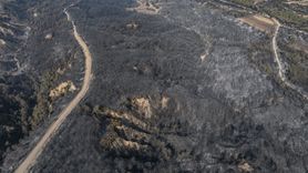 Çanakkale'de Orman Yangınına Hava ve Karadan Müdahele