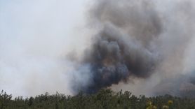 Çanakkale'deki Orman Yangınına Hızlı Müdahale