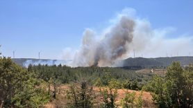 Çanakkale'deki Orman Yangınına Müdahale Devam Ediyor