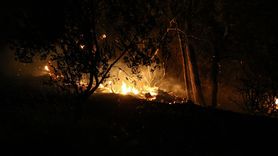 Çanakkale'deki Yangında Tarihi Hatıralar Yok Oldu