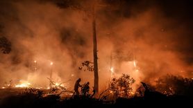 Çanakkale Gelibolu'daki Orman Yangınına Hızla Müdahale Ediliyor