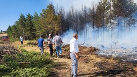 Çankırı'da Orman Yangını Kontrol Altına Alındı