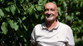 Ceviz Üretiminde Akıllı Böceklerle Sürdürülebilir Mücadele