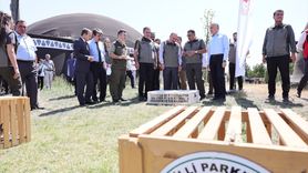 Çorum'da 300 Keklik Doğayla Buluştu