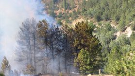 Çorum'daki Orman Yangını Kontrol Altına Alındı