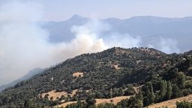 Denizli'deki Orman Yangınına Hızla Müdahale Ediliyor