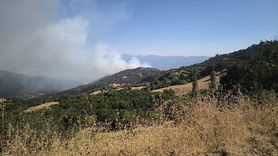 Denizli'deki Orman Yangınına Hızla Müdahale Ediliyor