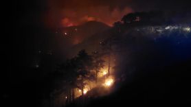 Denizli'deki Orman Yangınına Müdahale Devam Ediyor