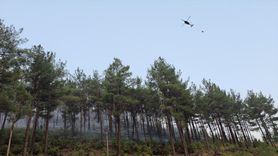 Denizli'nin Acıpayam İlçesinde Orman Yangını Çıktı