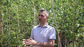 Doğu Anadolu Bölgesi'nde 2025'te Çıkan Yangınlar