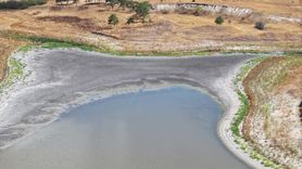 Edirne'deki Demirhanlı Göleti Kuruma Tehlikesiyle Karşı Karşıya