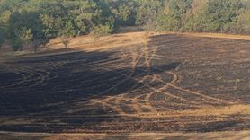 Edirne'deki Orman Yangını Kontrol Altına Alındı