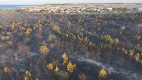 Edirne'deki Orman Yangını Kontrol Altına Alındı