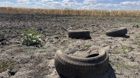 Edirne'deki Yağcılı Göleti Kuraklık Nedeniyle Tamamen Kurudu