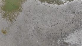 Edirne Korucuköy Göleti'nde Kuraklık Sorunu