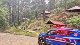 Erzurum'da Ormanlık Alanda Mangal Yakanlara Cezalar Kesildi