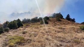 Erzurum İspir'de örtü yangını kontrol altına alındı