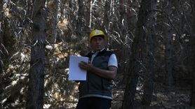 Erzurum Ormanlarında Yangın Tedbirleri İçin Seyreltme Çalışmaları Başlatıldı