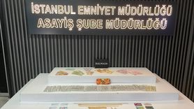 Esenyurt’ta 5 Milyon Liralık Hırsızlık: Bakıcı Tutuklandı