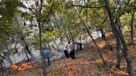 Feke'de Orman Yangınına Hızla Müdahale Ediliyor