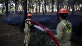 Fethiye'deki Orman Yangını Hızla Söndürüldü