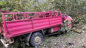 Giresun'da Kamyonet Kazası: 4 Kişi Hayatını Kaybetti, 1 Kişi Yaralandı