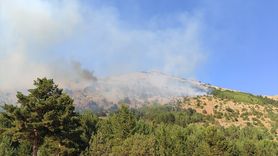 Gümüşhane'de Örtü Yangını Kontrol Altına Alındı