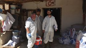 Gümüşhane'de Şap Hastalığıyla Mücadele Devam Ediyor