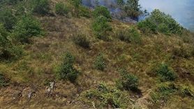 Gümüşhane'de Yangın Mücadelesi Devam Ediyor