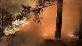 Isparta Orman Yangını Kontrol Altına Alındı