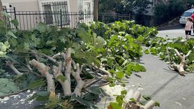 İstanbul'da Fırtına Hayatı Olumsuz Etkiliyor