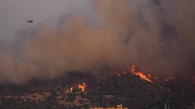 İzmir Buca'da Orman Yangınına Hızla Müdahale Devam Ediyor